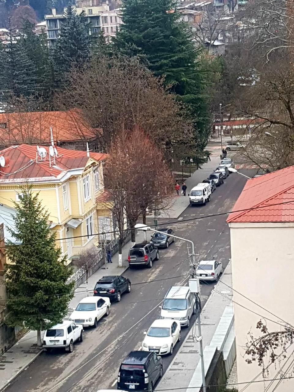 Ananiko Lägenhet Borjomi Exteriör bild