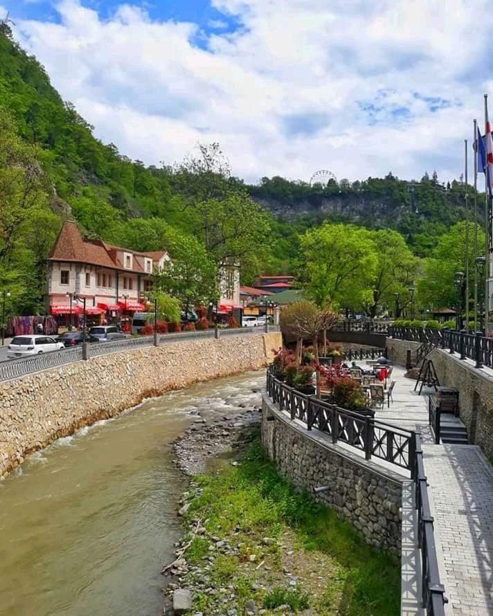 Ananiko Lägenhet Borjomi Exteriör bild