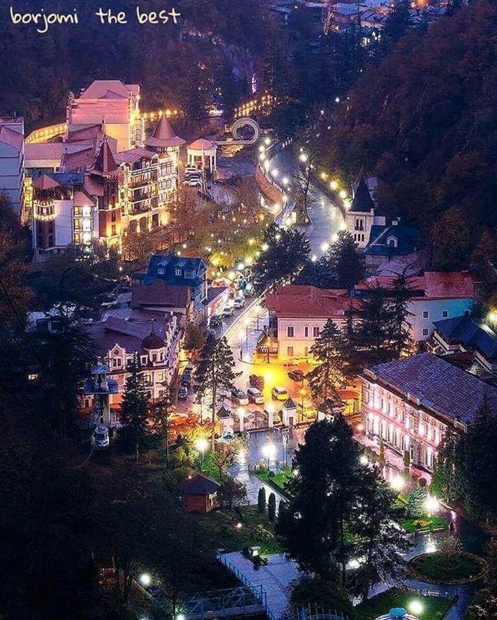 Ananiko Lägenhet Borjomi Exteriör bild