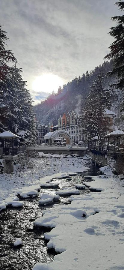 Ananiko Lägenhet Borjomi Exteriör bild